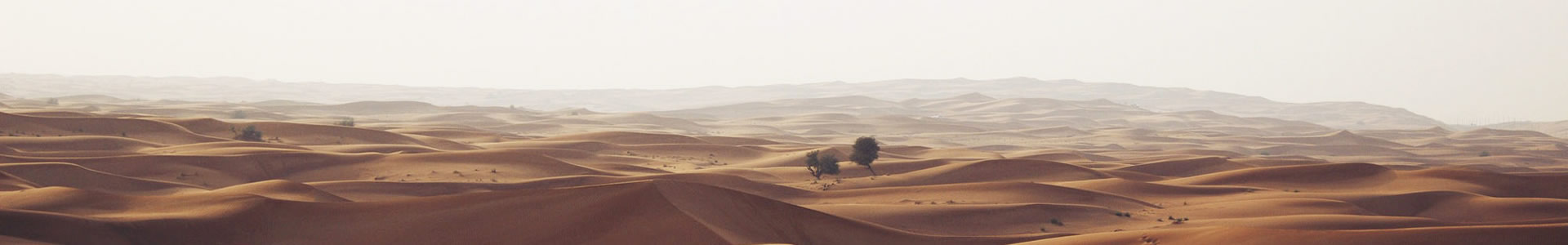 ضڻе޹˾